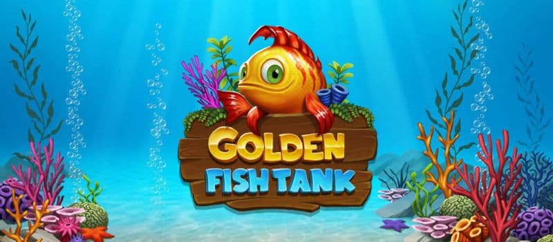 Pzolden Fish Tank